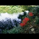 계명슈퍼 이미지