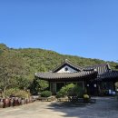 약수어린이집 | 우리들자연학교 10월 11일 약수교회어린이집 학부모 참여수업 후기