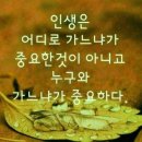 일일시호일