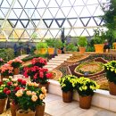 도시철도 구명역 4번 출구 앞 | 서울식물원 온실 여행기 가을 식물수집가 전시 입장료 카페 후기