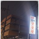 현이양이 이미지