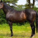 녹원목장 이미지