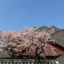 동서식당