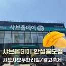 올데이미 | [안성 맛집]샤브올데이 안성공도점/샤브올데이 망고/생망고/망고올데이/내돈내산/솔직후기/가격/예약방법