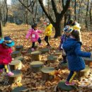초안산 유아숲체험장 이미지