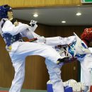 강진태권도체육관 이미지