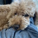 보리쌀롱 이미지