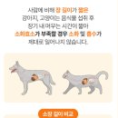 (주)대웅펫 이미지