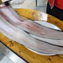 우정장어 이미지