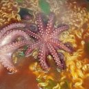 청춘바다 이미지