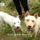 무영농장 이미지