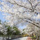 고덕체육공원 이미지