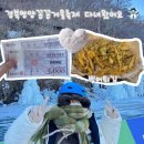 만랩커피 경북영양점 | 겨울축제 경북영양꽁꽁겨울축제 주차 먹거리 일정 총정리 다녀온 후기 영양사랑상품권 사용처