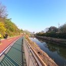 용담수 | 동아마라톤 10K 마라톤 후기