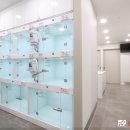 운정한빛동물병원 이미지