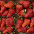 기재농장 이미지