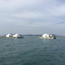 거금해양낚시공원 이미지