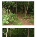 약대울목장 Daum카페