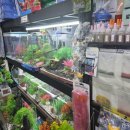 금성수족관 이미지