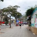 뉴그린팜 | 하노이 로컬식당 맛집 베트남 음식 -TET 뗏기간 여행