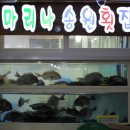마리나송원횟집 이미지