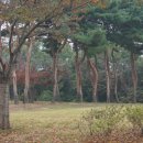 갑산농장 이미지