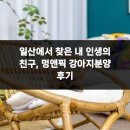 강아지 친구 | 일산에서 찾은 내 인생의 친구, 멍앤픽 강아지분양 후기