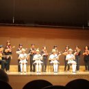 알로하~우클렐레 이미지