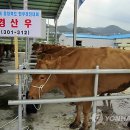 고광덕농장 연합뉴스