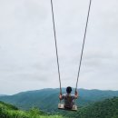 순수목장 이미지