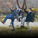 황금 스탁 네이버블로그