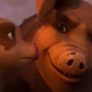 안시농장 이미지