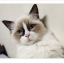 아이조아요양보호소 안양점 이미지