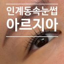 아르지아 이미지