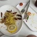 가온로 | [파주맛집] 파주 데이트, 기념일 식사 장소 추천 | 애견 동반 가능한 운정 맛집 “BININE” 찐 후기