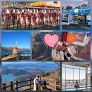 외포농장 | 겨울 거제도 가볼만한곳 추천 가족 여행코스 경남 거제 실내 갈만한곳 1박 2일