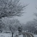 내고향풍천장어 이미지