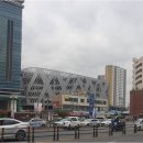 태평라이프