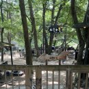 민들레울 | [거창 카페] 민들레울 솔직후기 | 계곡뷰 대형카페 여름나기