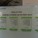 코스모스 비젼케어 이미지