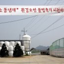 우리소우리돼지