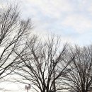 해밀캠핑장 이미지