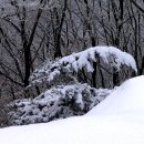 운장산.등산코스.산행지도.산행자료 이미지