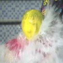 음파음파 수영장 이미지