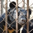 연합 농장 이미지