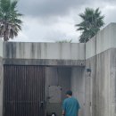 꼬떼웨스트 | 제주 감성 베이커리 카페, 꼬떼웨스트(Côté Ouest)