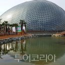 (주)미래관광여행사