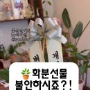 좋은날,여기 이미지