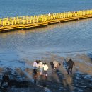 비토섬마린블루펜션 이미지