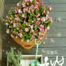 킹스타당구장 이미지